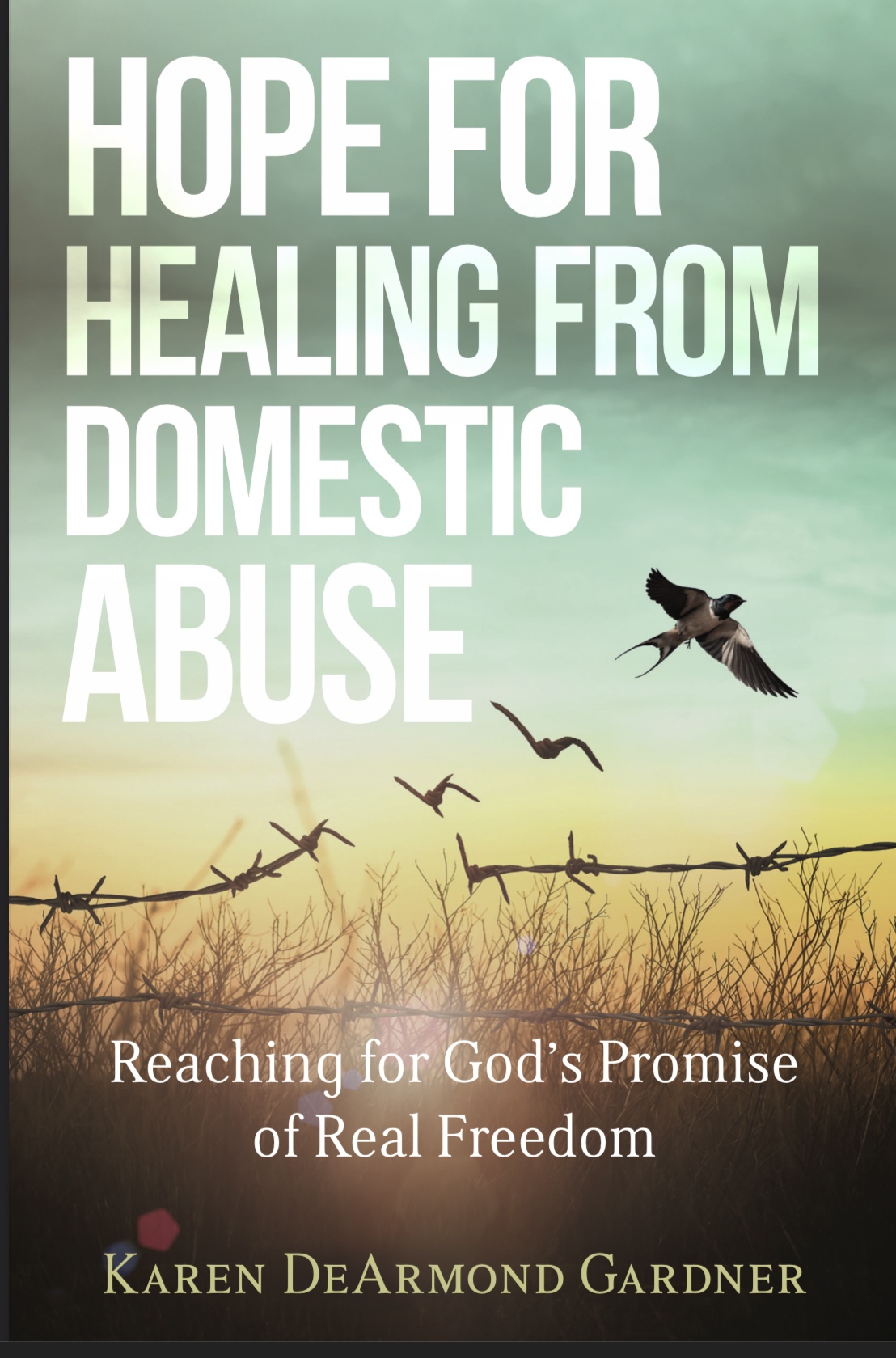 Book, abuse, healing